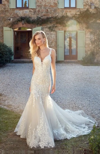  #0 default Ivory / Champagne / Almond thumbnail
